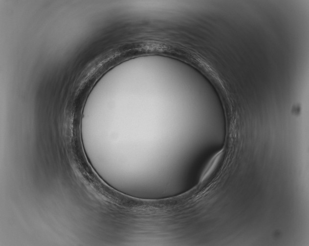 X0000116110722200912071322