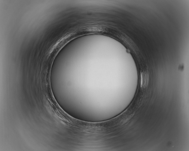 X0000116110723200912071322