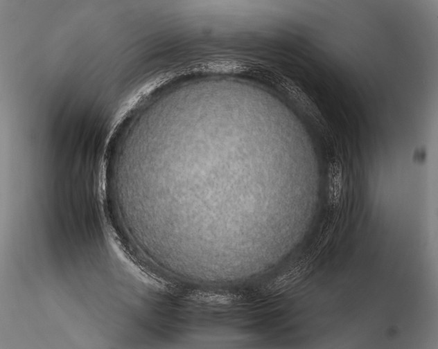 X0000116110726200912071322