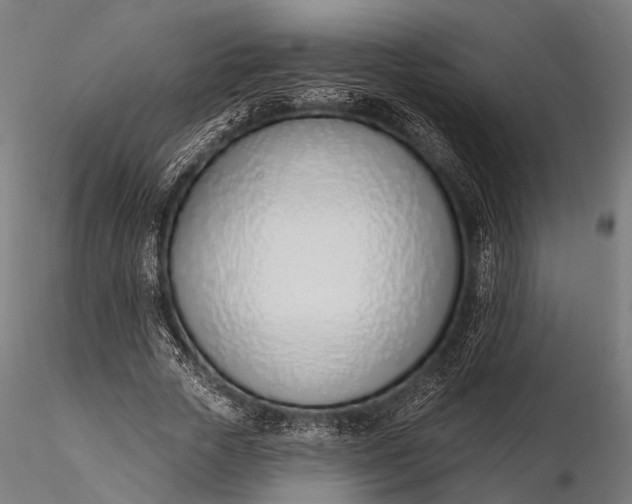 X0000116110729200912071322