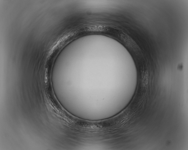 X0000116110731200912071322