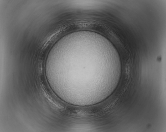 X0000116110733200912071322