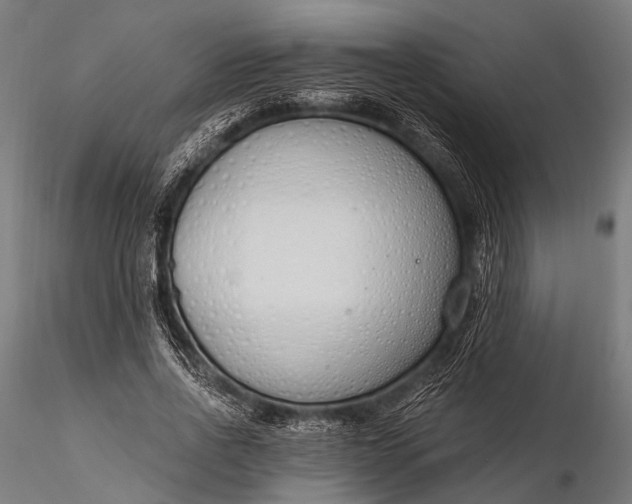 X0000116110734200912071322