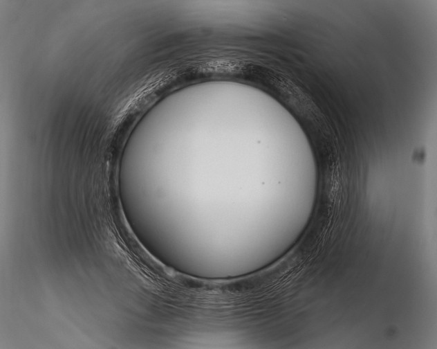 X0000116110735200912071322