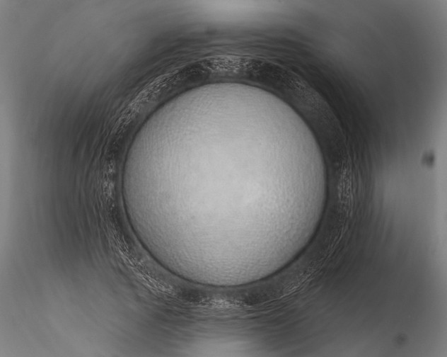 X0000116110737200912071322