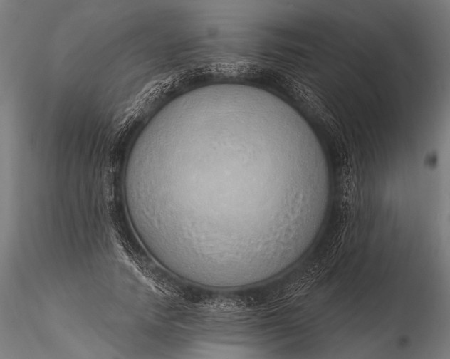 X0000116110738200912071322