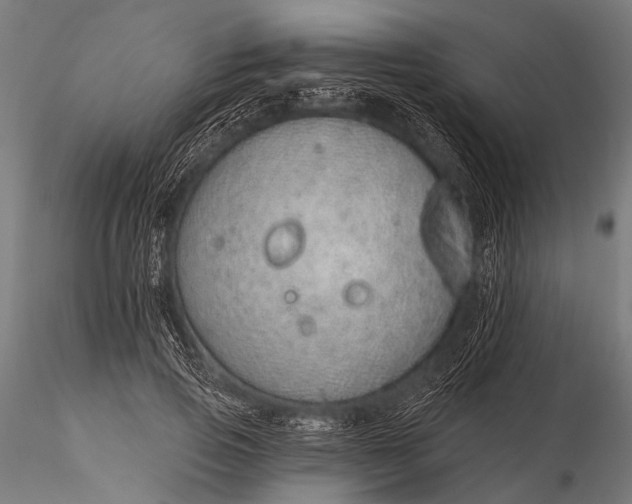 X0000116110741200912071322