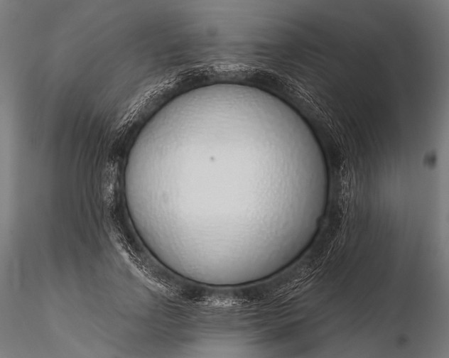 X0000116110742200912071322