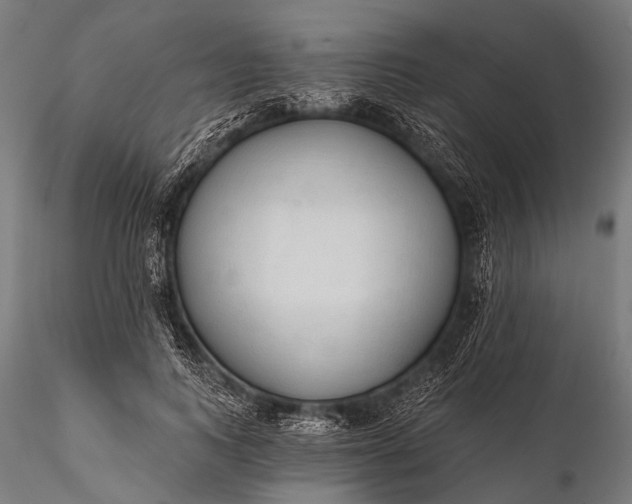 X0000116110743200912071322