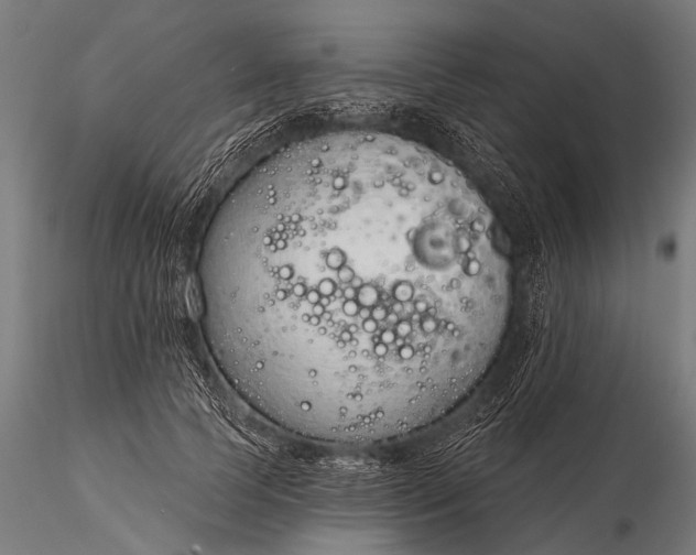 X0000116110745200912071322