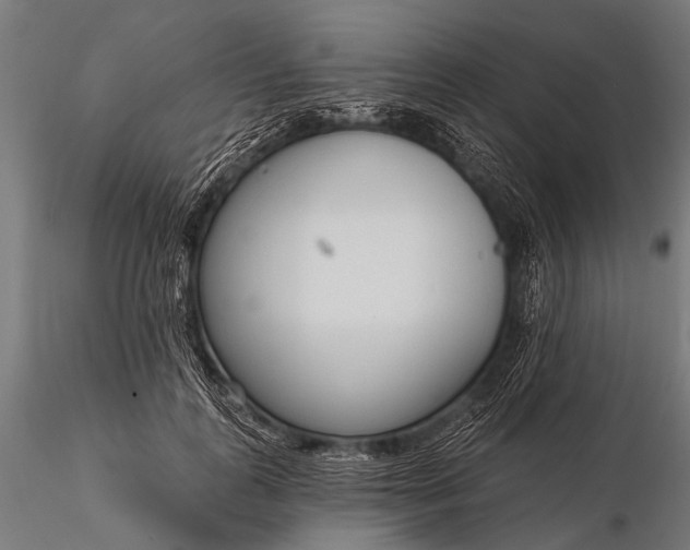 X0000116110747200912071322