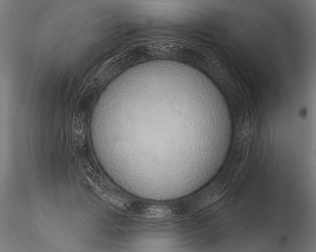 X0000116110749200912071322