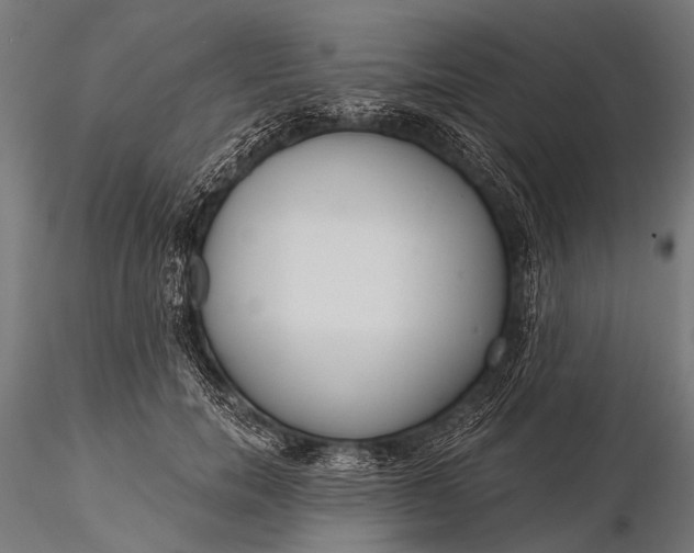 X0000116110750200912071322