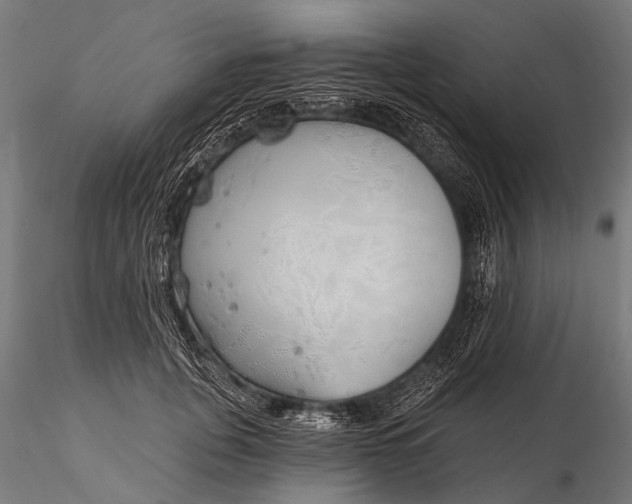 X0000116110751200912071322