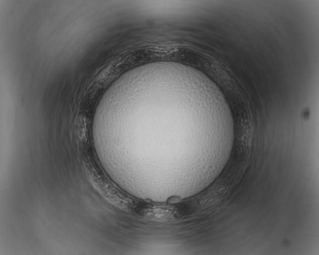 X0000116110758200912071322