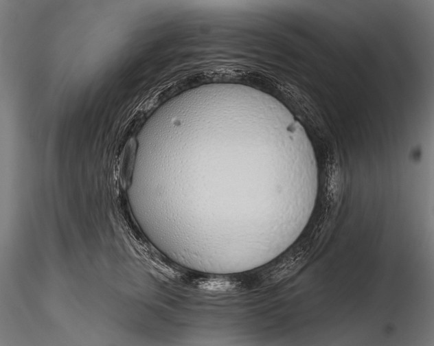 X0000116110759200912071322