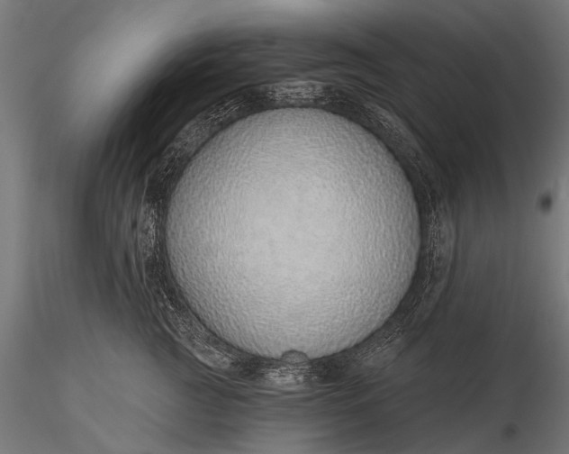 X0000116110761200912071322