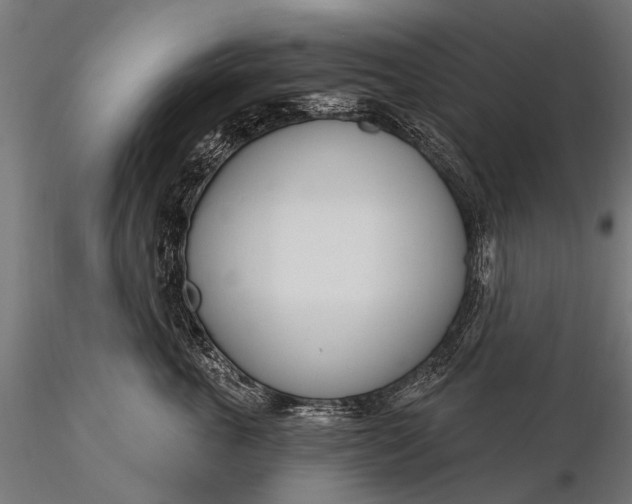 X0000116110763200912071322