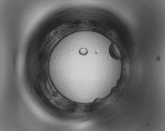 X0000116110765200912071322