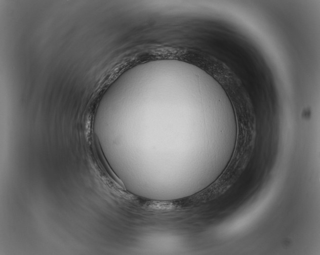 X0000116110767200912071322