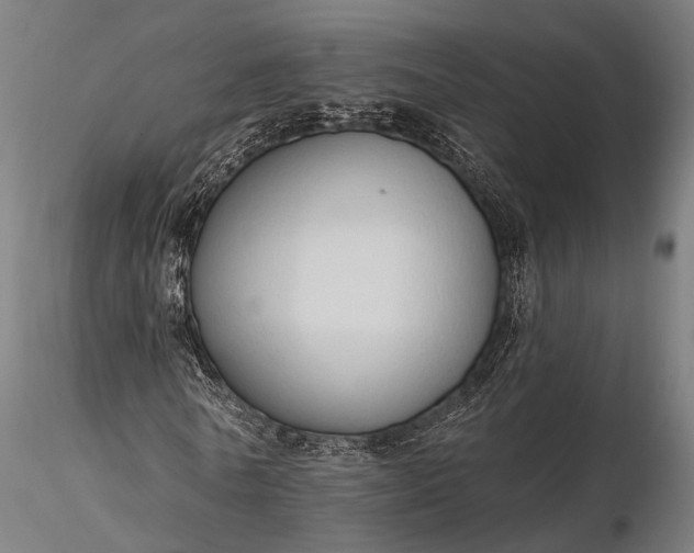 X0000116110770200912071322