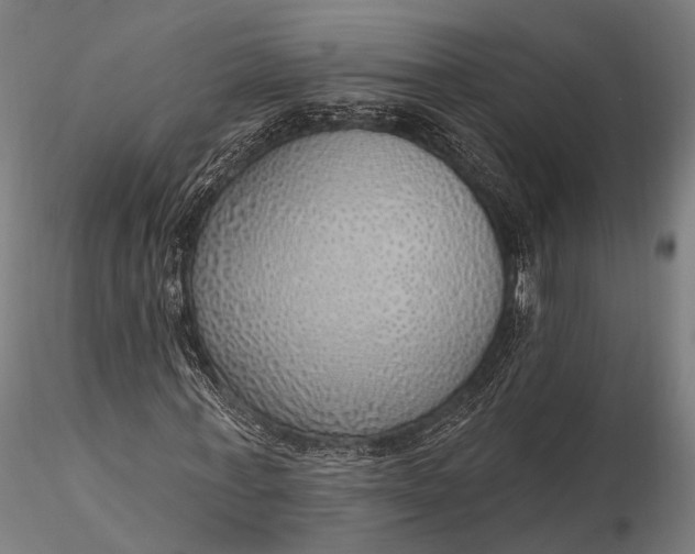 X0000116110771200912071321