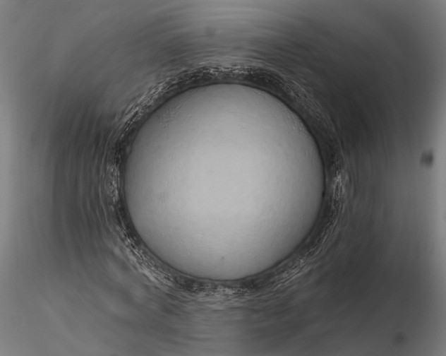 X0000116110772200912071321