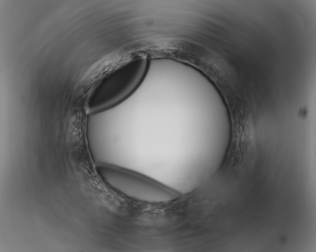 X0000116110773200912071321