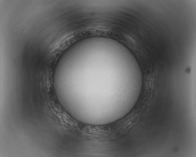 X0000116110774200912071321