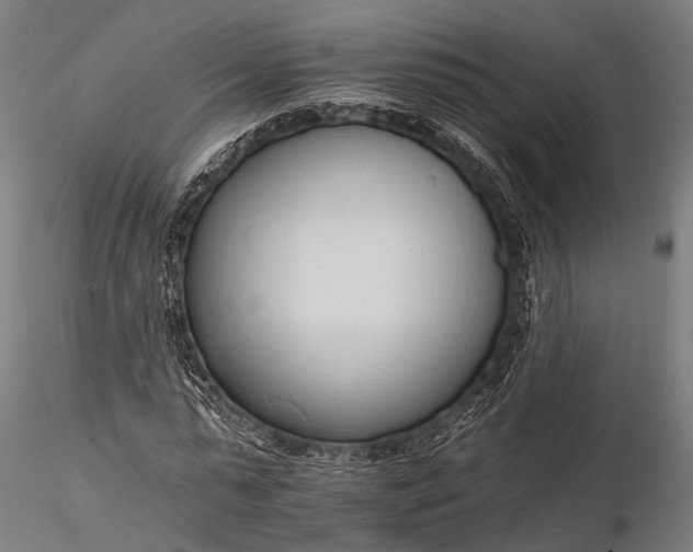 X0000116110775200912071321