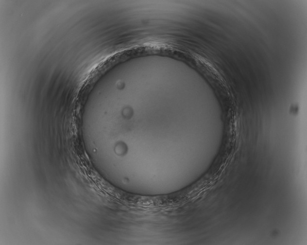 X0000116110776200912071321