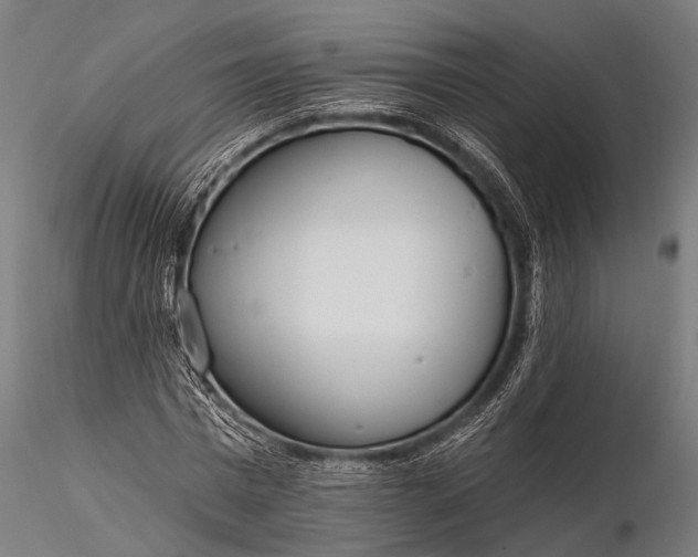 X0000116110777200912071321