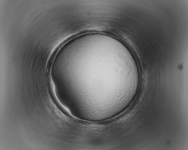 X0000116110779200912071321