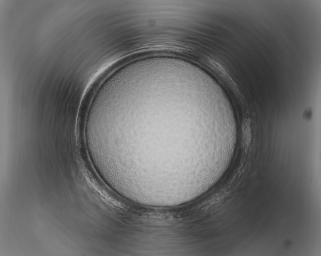 X0000116110780200912071321