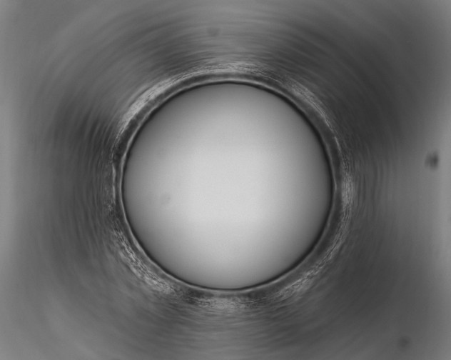 X0000116110781200912071321