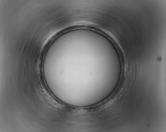 X0000116110783200912071321