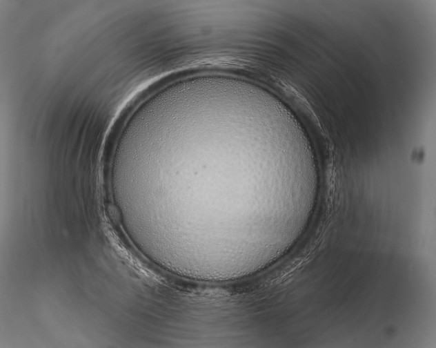 X0000116110784200912071321