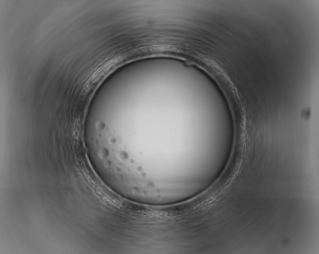 X0000116110785200912071321