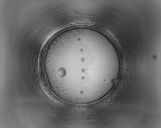 X0000116110788200912071321