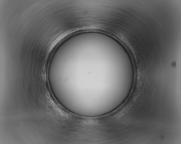 X0000116110789200912071321