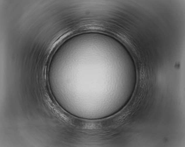 X0000116110790200912071321