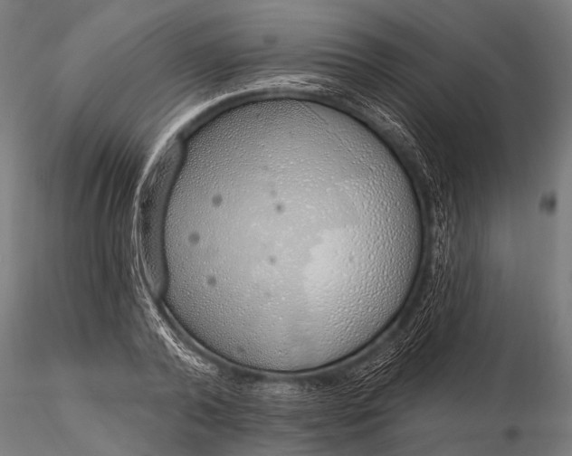 X0000116110792200912071321