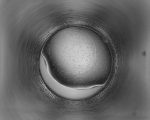 X0000116110793200912071321