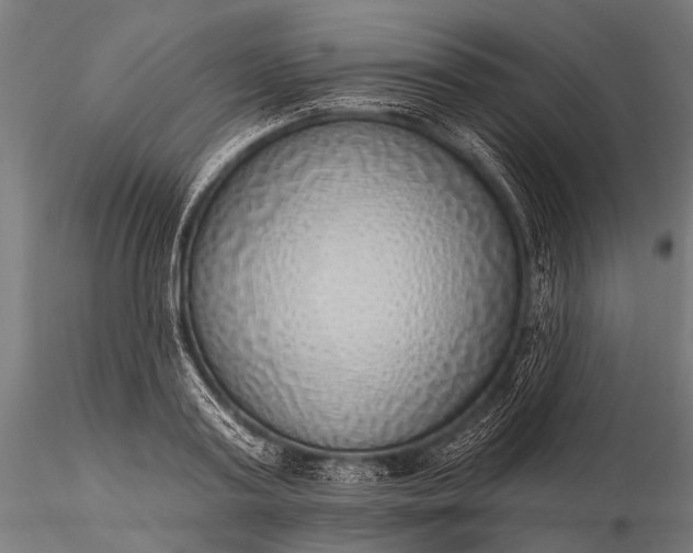 X0000116110795200912071321