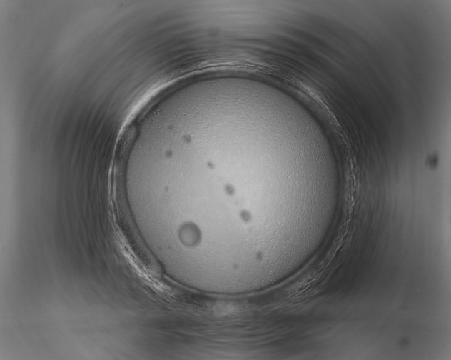 X0000116110796200912071321