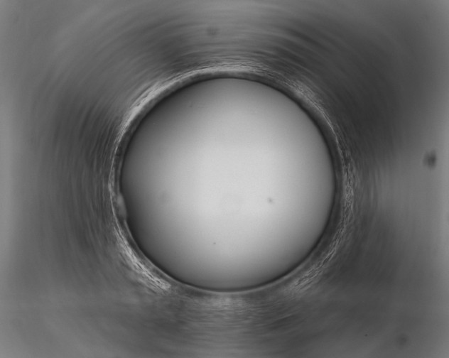 X0000116110797200912071321