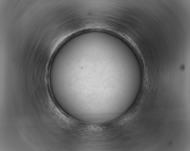 X0000116110799200912071321