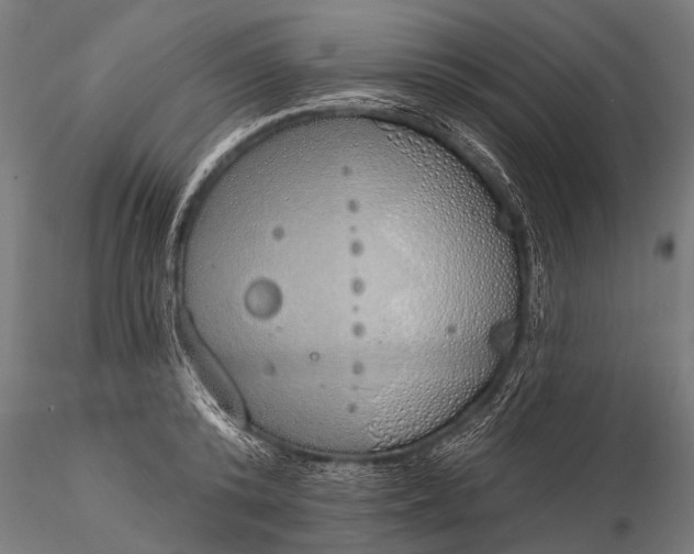 X0000116110800200912071321