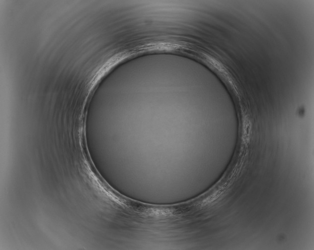 X0000116110802200912071321