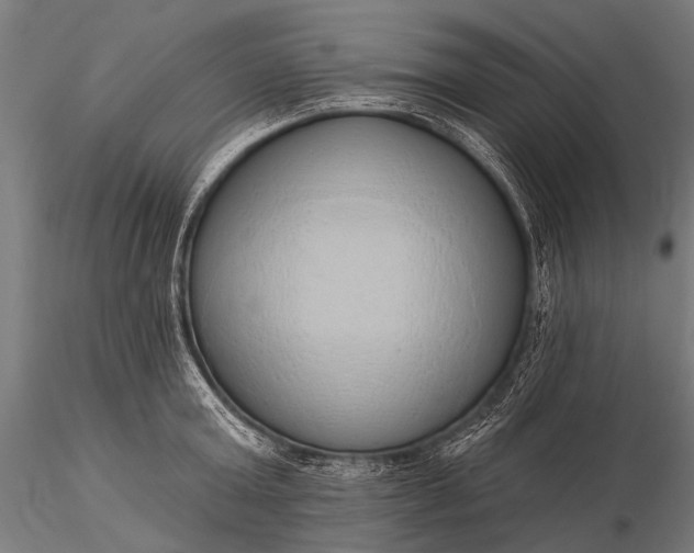 X0000116110803200912071321